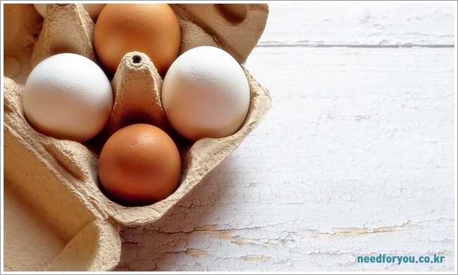 egg이미지입니다.
