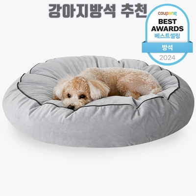 강아지방석 추천 순위 2025: 최고의 선택 기준과 후기