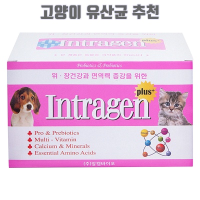 고양이 유산균 추천 순위 TOP 5입니다.
