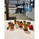 다육이 종류 추천