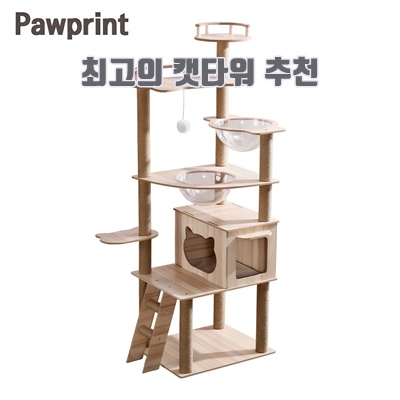 최고의 캣타워 추천 순위 2025: 고양이 최적의 선택!