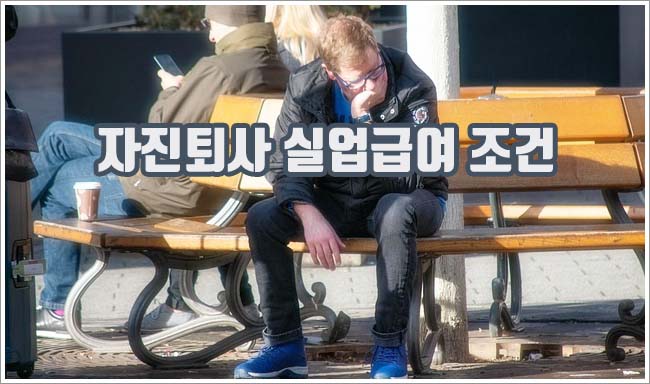 자진퇴사 실업급여 관련이미지이미지입니다.