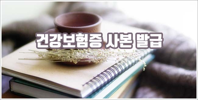 건강보험증 사본 관련이미지이미지입니다.