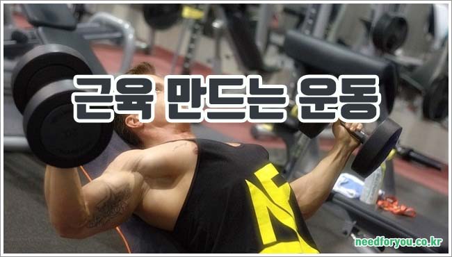 근육 만드는 관련이미지이미지입니다.