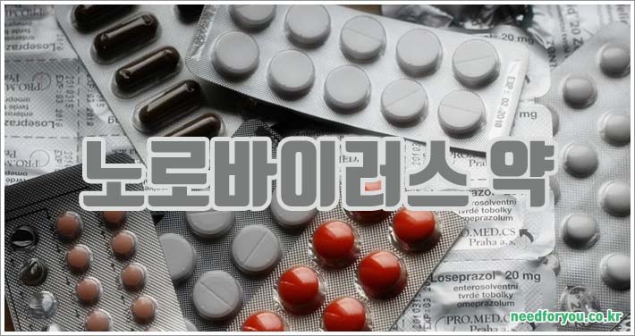 노로바이러스 이미지