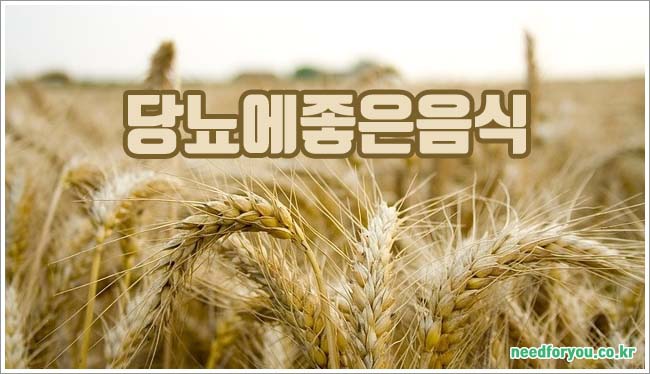 당뇨에 관련이미지이미지입니다.