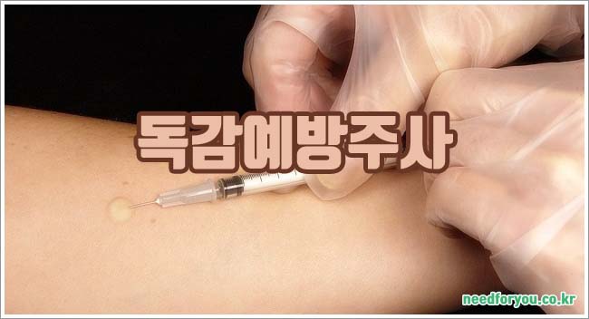 독감예방주사  관련이미지이미지입니다.