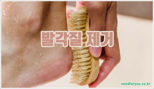 발각질 관련이미지이미지입니다.