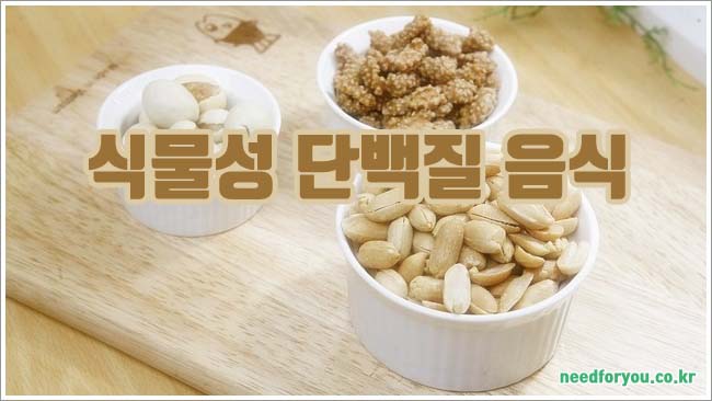 식물성 단백질 관련이미지이미지입니다.