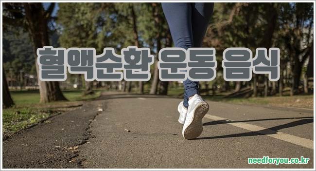 혈액순환 관련이미지이미지입니다.