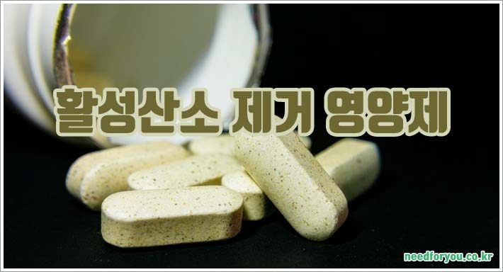 활성산소 개념